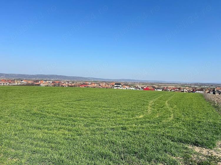 Teren de 5375 mp, în Cheriu