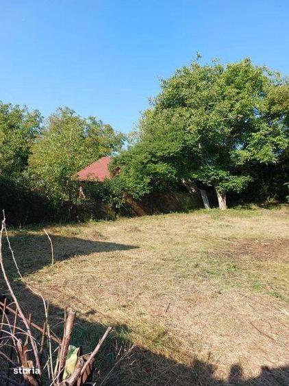 Casă cu 3 camere cu Teren 95 Mp în Jucu
