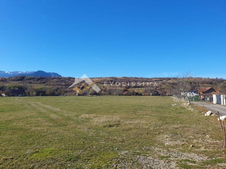 Teren Construcții intravilan de 10600 mp, în Bran
