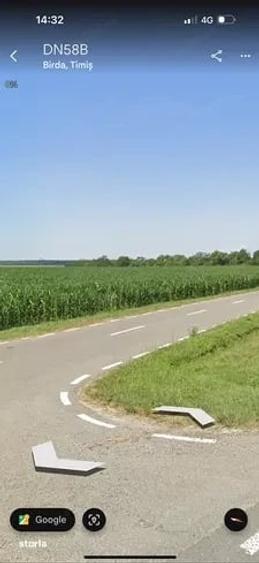 Teren de 500000 mp, în Birda