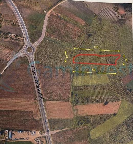 Teren agricol extravilan de 2511 mp, în Oncea