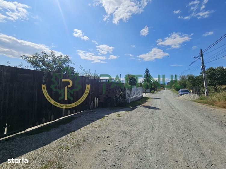 Spațiu comercial, în Câineni