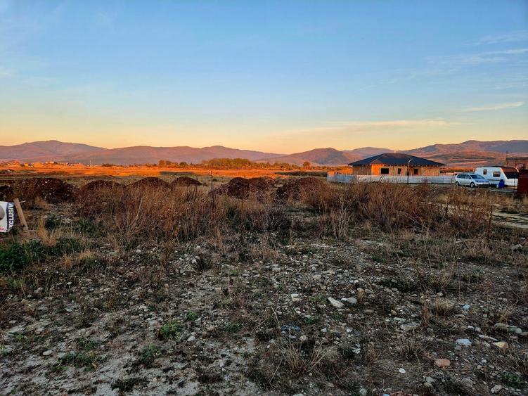 Teren Construcții intravilan de 1450 mp, în Cărpiniș