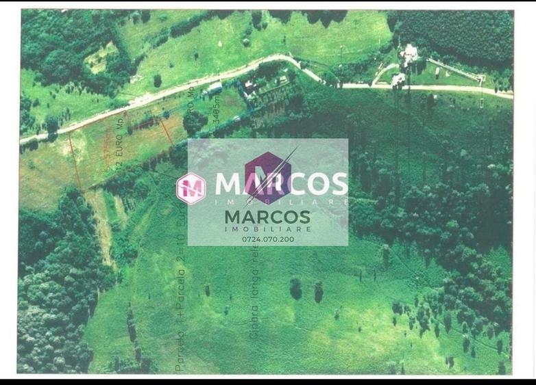 Teren Construcții extravilan de 3465 mp, în Sud