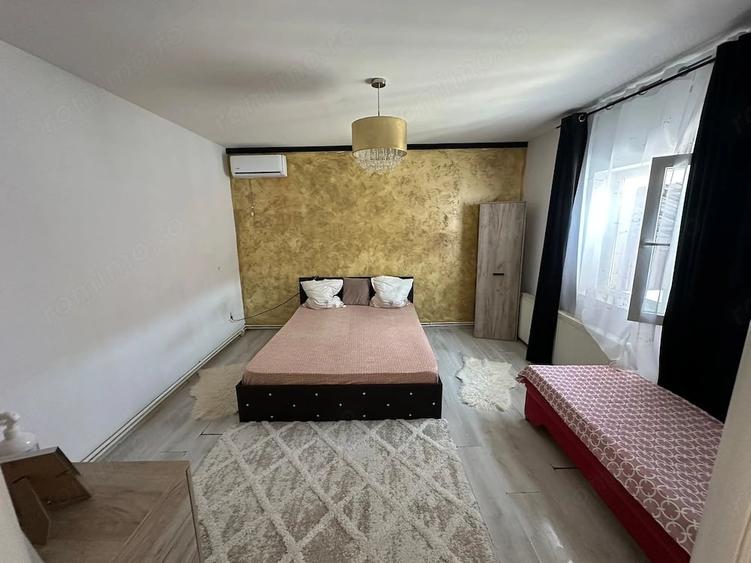 Casă cu Teren 15000 Mp în Șeica Mare
