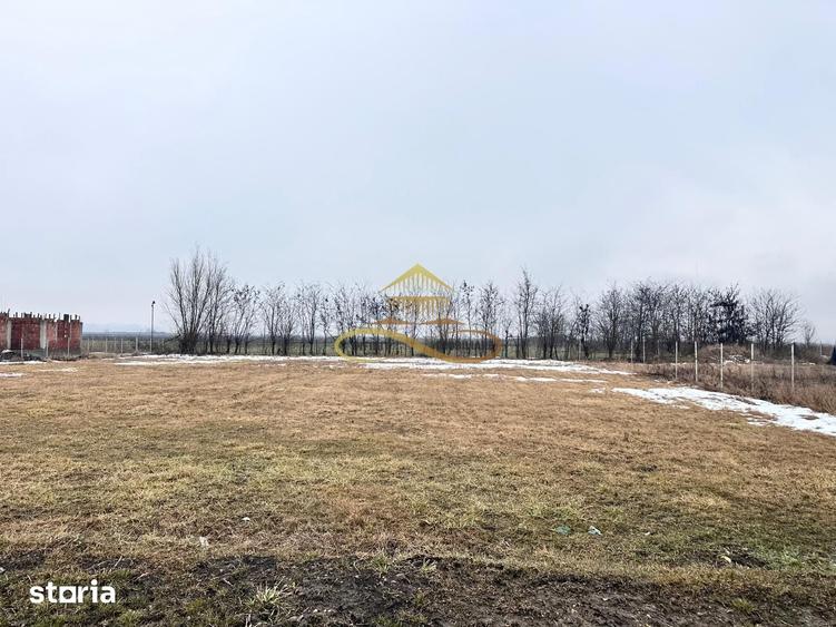 Teren de 900 mp, în Săucești