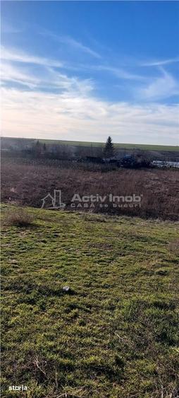Teren TOP 1400mp 18ml stradal Vanatori (Odaia Manolache) - 8