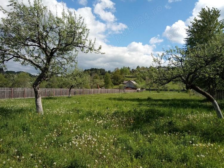 Teren intravilan la munte, in Nereju, Vrancea - 3