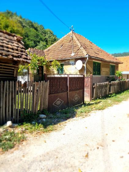 Casă cu 2 camere în Central