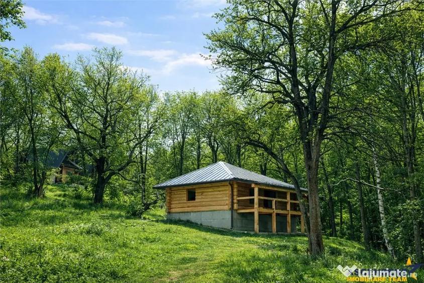 3.000mp de incantare montana cu cabana din lemn masiv, Zarne - 3
