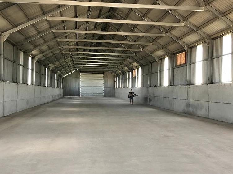 Teren de 47000 mp, în Cartojani