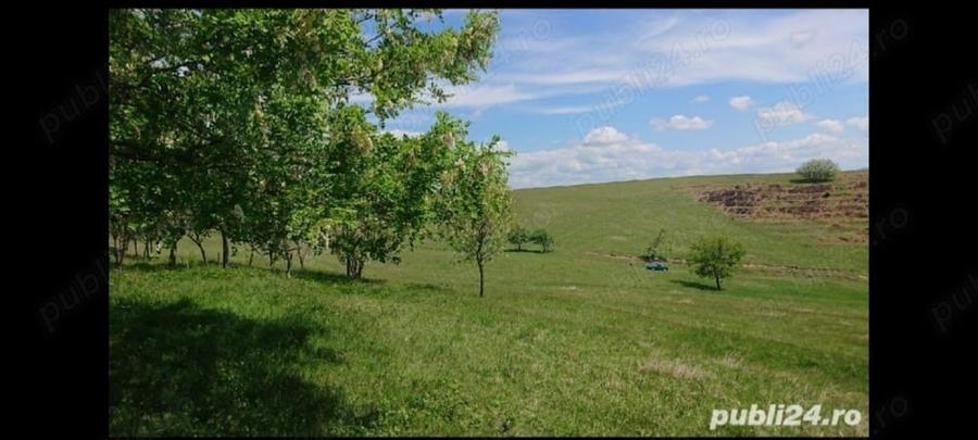 Teren,8700 m2,cu priveliste frumoasa. - 3