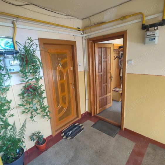 Apartament cu 3 camere semidecomandat în Viziru 1