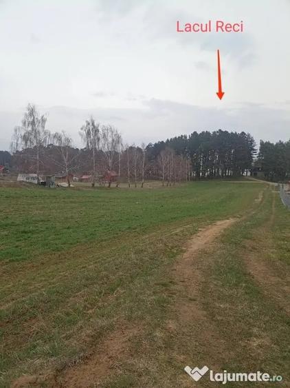 Teren în Reci
