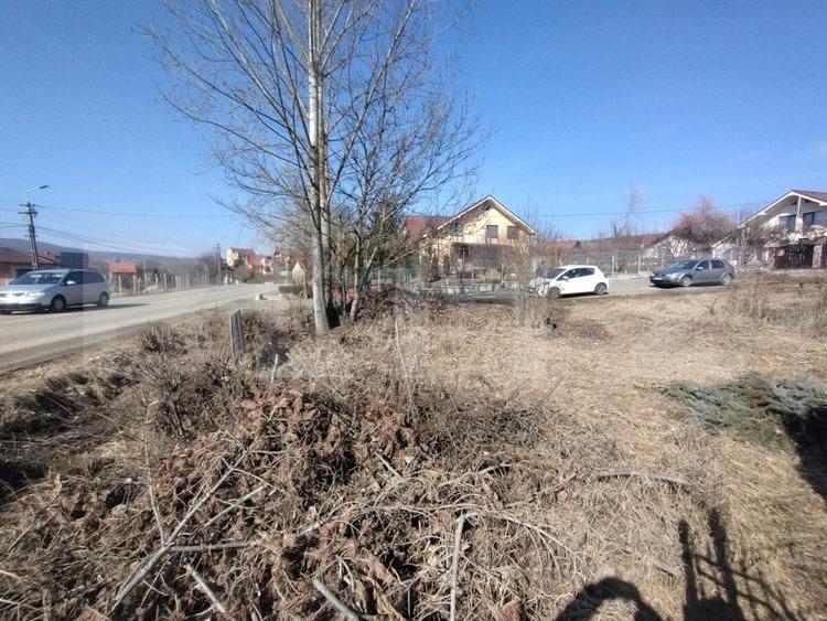 Teren Construcții intravilan de 500 mp, în Sigmir