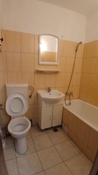 Apartament cu 2 camere decomandat în Turnișor