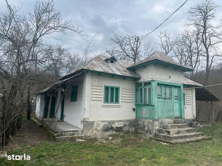 Casă cu 6 camere cu Teren 5000 Mp în Roești