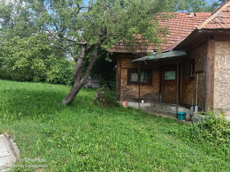Casă cu 3 camere în Breb