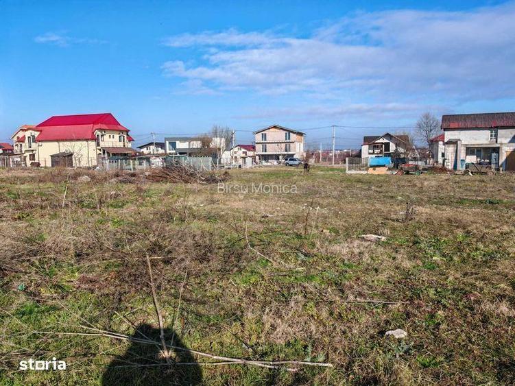 Teren de vanzare Costinesti (Sat Schitu)