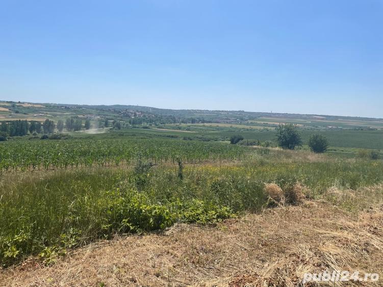 Teren de 1200 mp, în Paleu