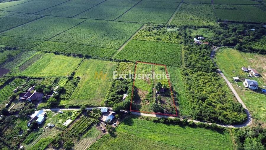 Teren de 5555 mp, în Schiau (Urlați)