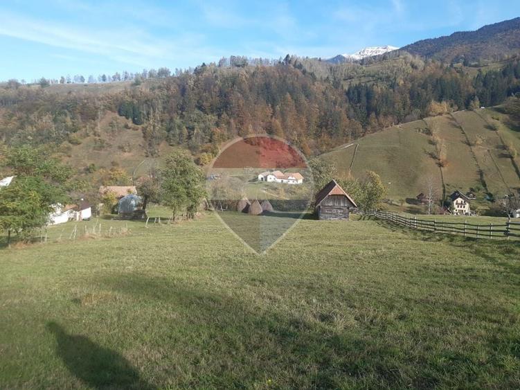 Teren agricol intravilan de 3658 mp, în Bran