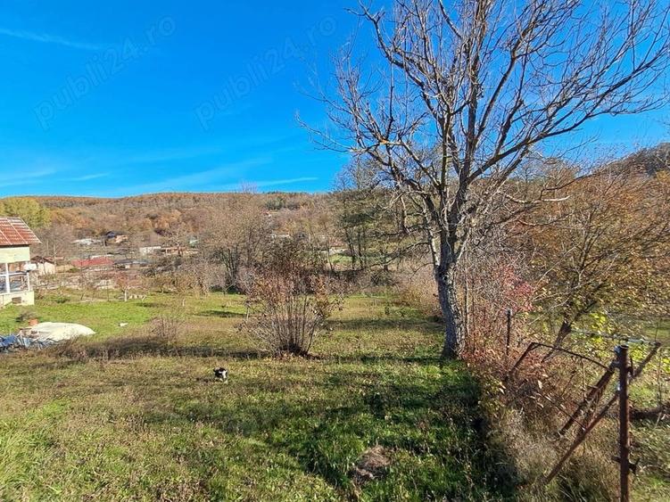 Casă cu 3 camere cu Teren 6772 Mp în Ursoaia