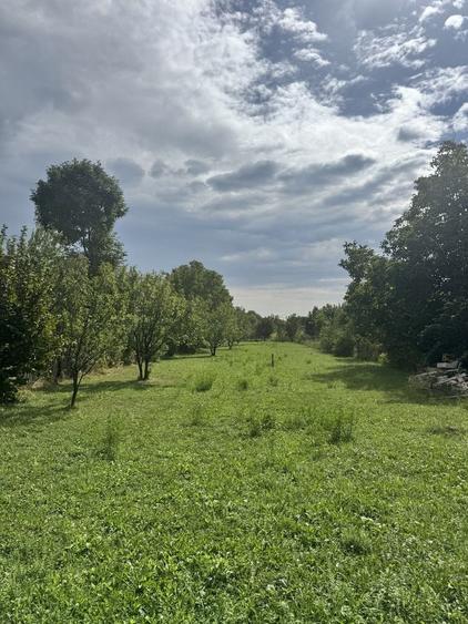 Teren de 1503 mp, în Brebu