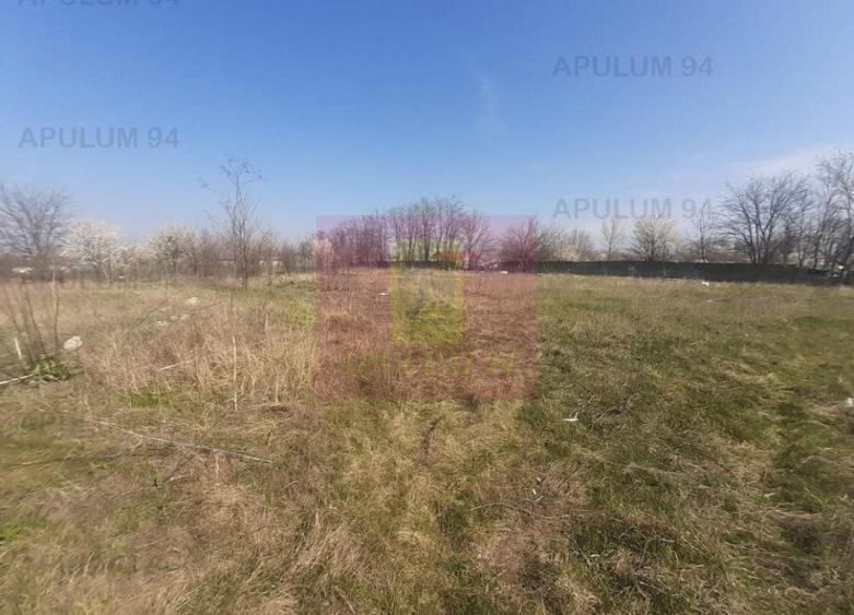 Teren Construcții intravilan de 4800 mp, în Glina
