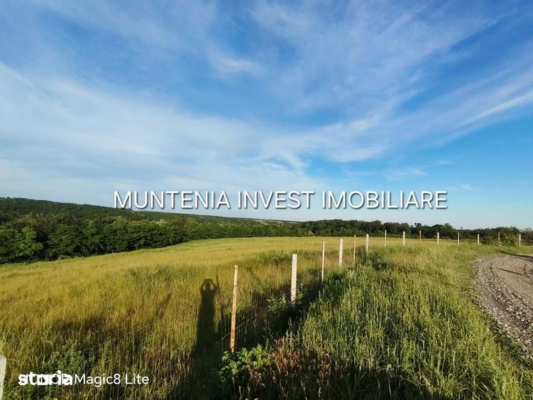 Teren de 935 mp, în Moșoaia