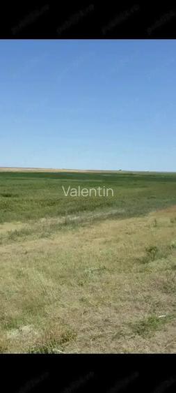 Teren de 40000 mp, în Plopu