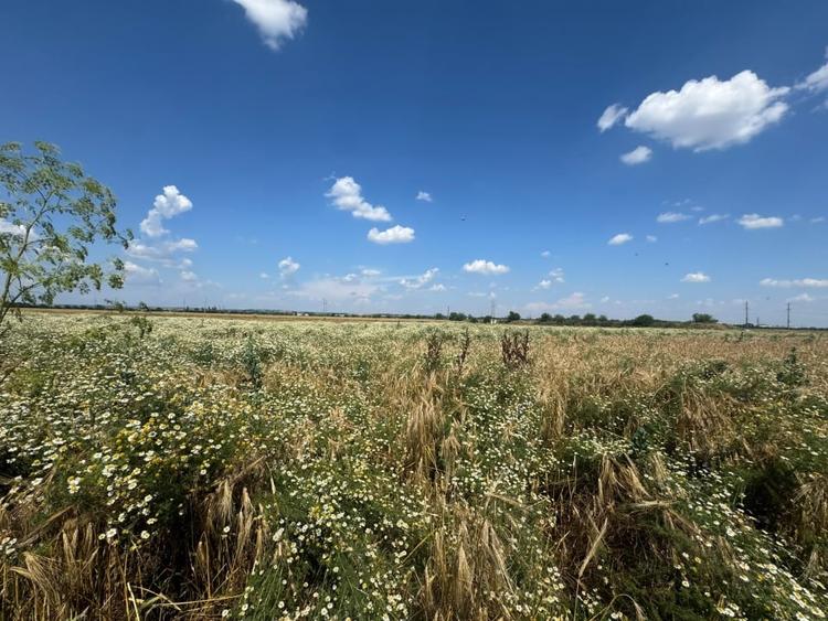 Teren agricol extravilan de 3800 mp, în Exterior Nord