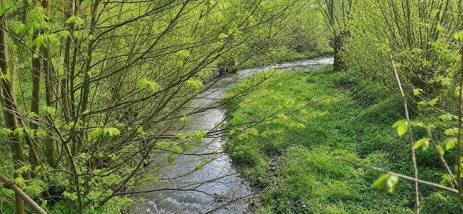 Teren de 1328 mp, în Ghinda