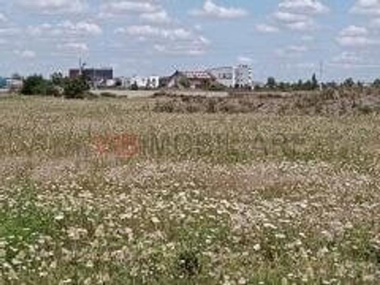 Teren industrial de vânzare , Timișoara. Autorizație de construire inclusă - 5
