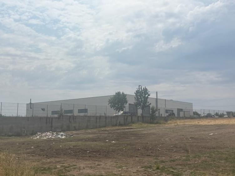 Teren agricol extravilan de 5000 mp, în Pielești