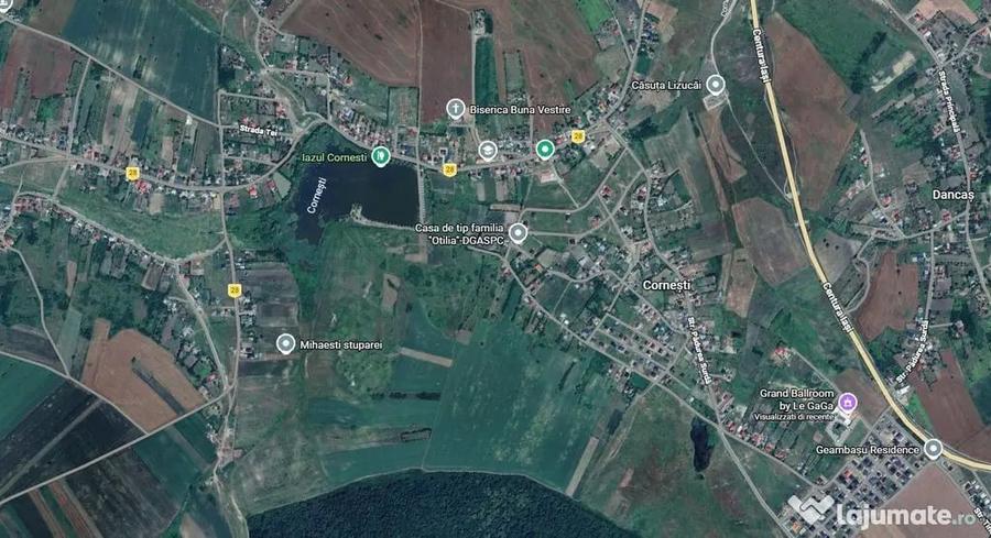 TEREN intravilan - CORNESTI 650 MP, 29.900 EURO - 3