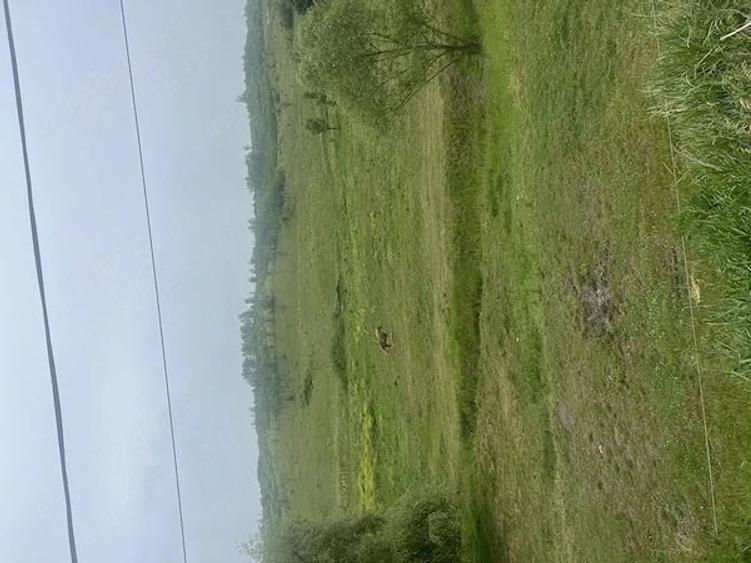 Teren de 2000 mp, în Iclod