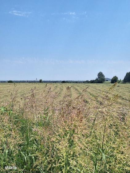 Teren de vanzare 23.298 mp | Ciorogarla, Ilfov |Acces rapid A1 si A0 - 3