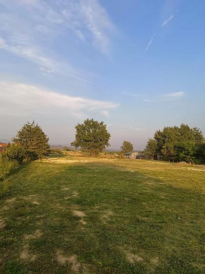 Teren de 1100 mp, în Central