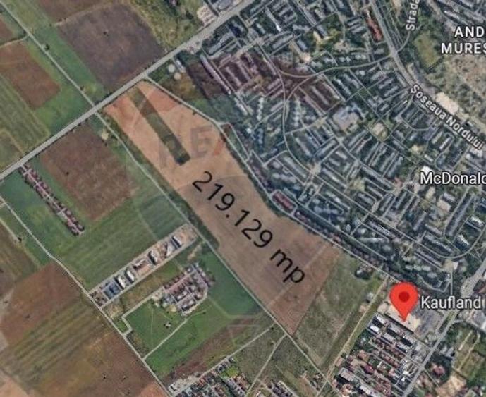 Teren intravilan de 219129 mp, în Albert