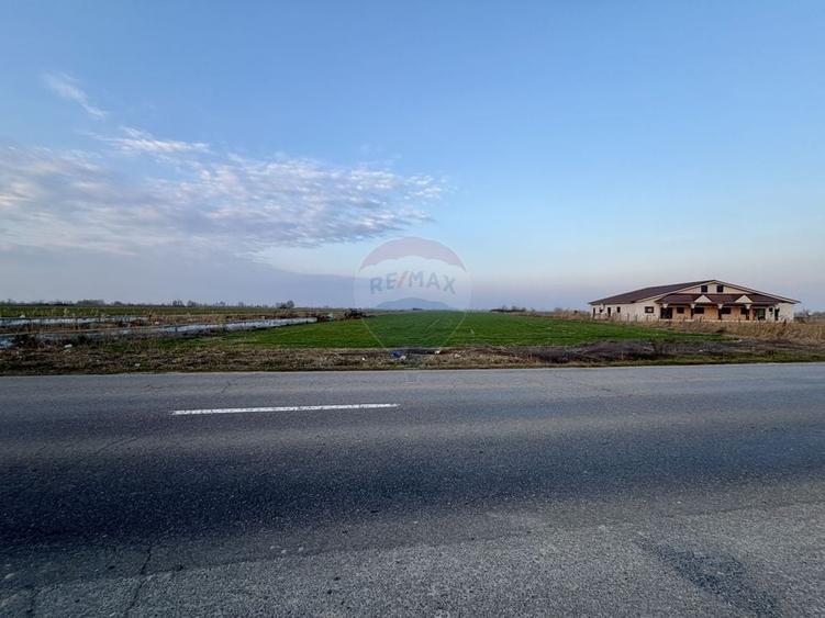 Teren Construcții intravilan de 12360 mp, în Boțârlău