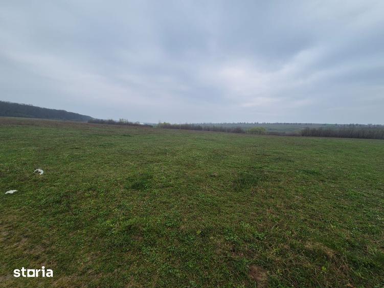 Teren de 10070 mp, în Mitocu Dragomirnei