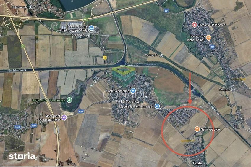 Teren de 100000 mp, în Cernica