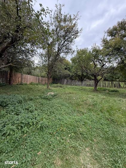Teren 1.000 mp cu TOATE UTILITATILE - 7