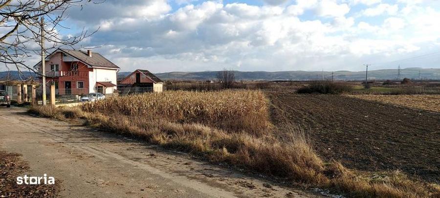 Teren de 750 mp, în Cuzdrioara
