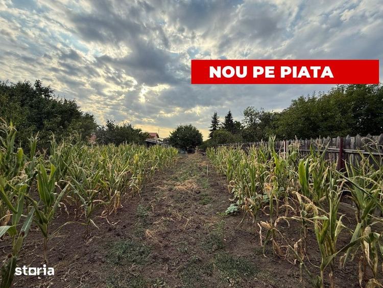 Casa cu trei camere avand 90mp suprafata utila, in zona Mehala - 6