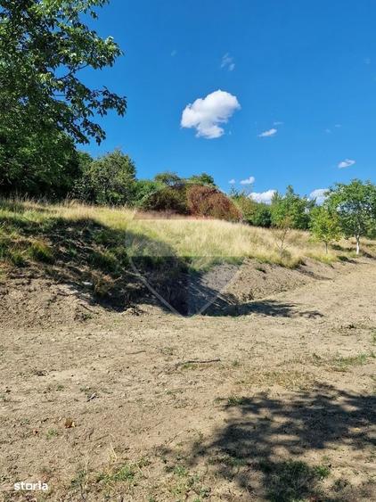 Casă cu 3 camere cu Teren 6000 Mp în Central