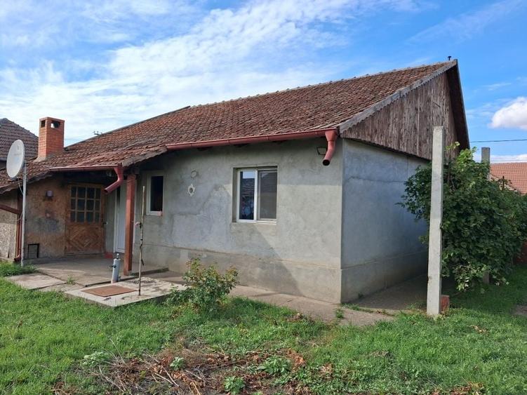 Casă cu 2 camere în Iratoșu