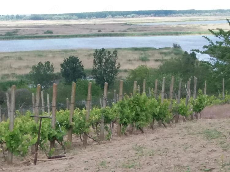 Teren de 3200 mp, în Somova