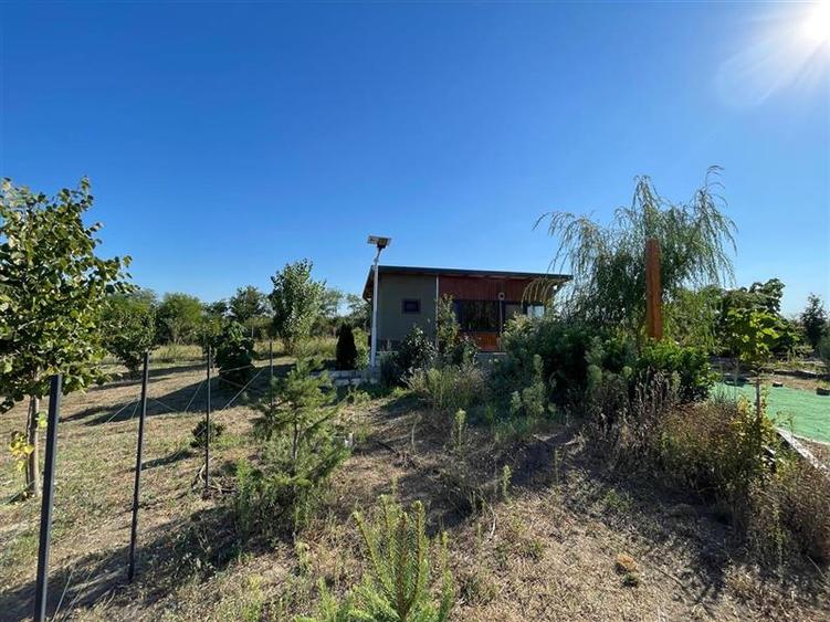 Teren de vanzare in localitatea Cataloi Tulcea - 16